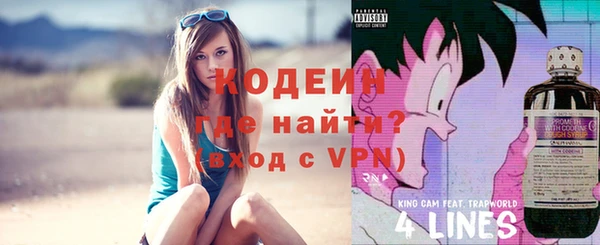 прущие грибы Медногорск