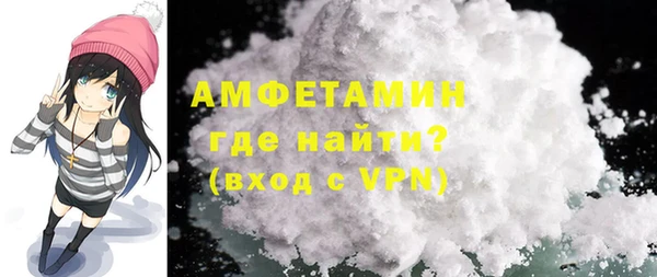 прущие грибы Медногорск
