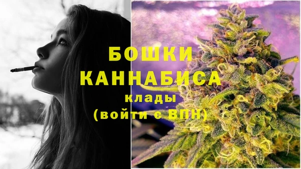 прущие грибы Медногорск
