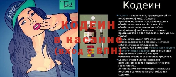 прущие грибы Медногорск