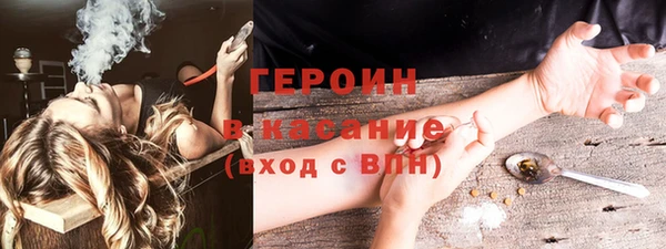 прущие грибы Медногорск