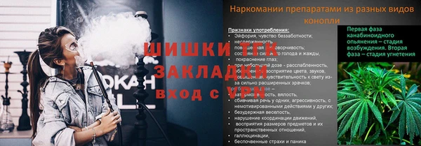 спайс Медвежьегорск